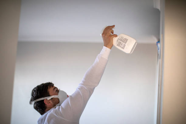 Best Office Mold Removal Services  in Brentwood, NY